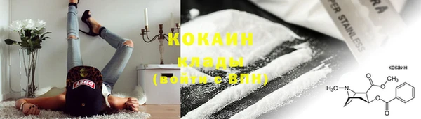 винт Абаза