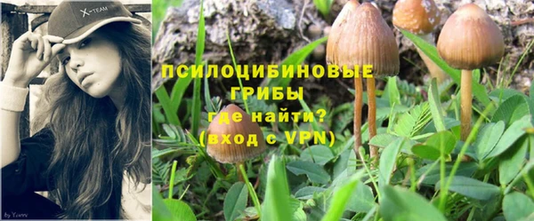 прущие крисы Алзамай